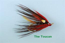 The Toucan